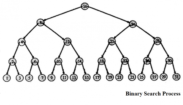 Binary Search Process